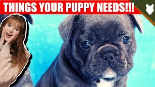 THINGS YOU'LL NEED FOR YOUR FRENCH BULLDOG PUPPY