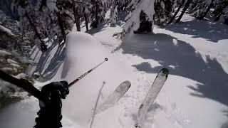 Alpental Bluebird Powder - March 6, 2018