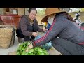 harvest cauliflower and radishes and bring them to the market to sell and cook