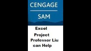 SAM Excel 18 Module 2