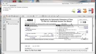 SimpleTax Form 4868