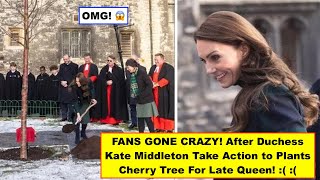FANS GONE CRAZY! After Duchess Kate Middleton Takes Action to Plants Cherry Tree For the Late Queen!