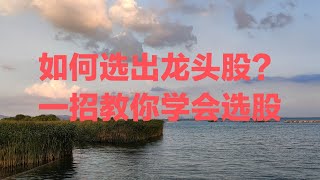 中国股市 一招教你选龙头股的方法