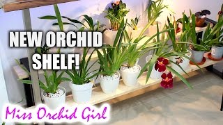 New shelf for my Orchids - Shirley's Simple Shelving review