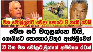 මේක හරි මගුලක්නෙ ඕයි,ගොයියට පොහොර,වතුර ආණ්ඩුවෙන්|වී ටික මහ මෝල්ලුන්ට,මුන්ගේ අම්මගෙ රටක්නෙ බොල