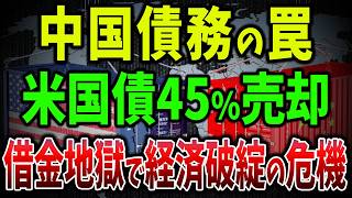 【世界激震】中国が米国債売却でアメリカに宣戦布告！アメリカを「金利爆上げ」で潰す計画が進行中…【ゆっくり解説】