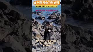 #거북이빙고 #숟가락난타 #이복자숟가락난타#shorts