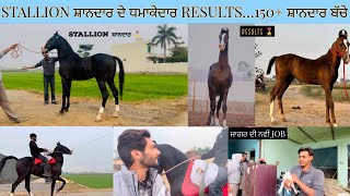 Stallion ਸ਼ਾਨਦਾਰ ਦੇ ਧਮਾਕੇਦਾਰ RESULTS…150+ ਸ਼ਾਨਦਾਰ ਬੱਚੇ….ਜਾਗਰ ਦੀ ਨਵੀਂ JOB… #youtube #davindernirman