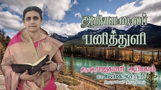 1618. பயப்படாமல் நம்பிக்கையாய் இருப்பேன் | அதிகாலைப் பனித்துளி | திருமதி. ராஜகுமாரி ஆபிரகாம்