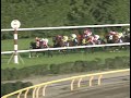 サクラローレル 1996年 第114回天皇賞 秋 gi 優勝馬：バブルガムフェロー