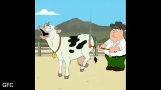Family Guy Talking Animals Compilation. 