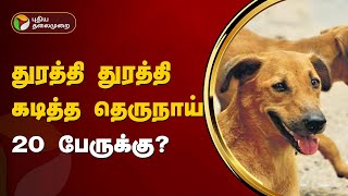 துரத்தி துரத்தி கடித்த தெருநாய்... 20 பேர்..?  | Namakkal | PTT