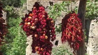 FOLLOW ME AROUND: Amalfi Coast Valle delle Ferriere