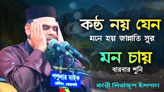 দিল কাঁপানো কন্ঠে মন জুড়ানো তিলাওয়াত | Best Quran Recitation | Quran Tilawat