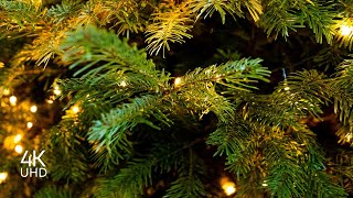 Christmas Tree Closeup With Music | Relaxation | 4K UHD