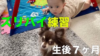 ズリバイ練習　赤ちゃんと犬　生後７ヶ月