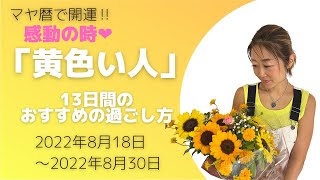 【マヤ暦で開運！】「黄色い人」の13日間のおすすめの過ごし方【感動の時】