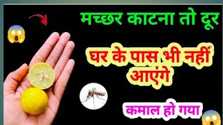 Home remedy to get rid of mosquitoes 😱 Home remedy to get rid of mosquitoes without chemicals. Drive away mosquitoes