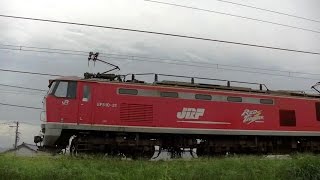 ﾚｯﾄﾞｻﾝﾀﾞｰEF510-21牽引高速貨物B4095ﾚ　名古屋→新潟