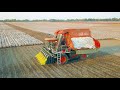 CRCHI Cotton Picker 4MZ-6