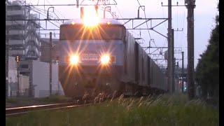 2016.5.26 (木)　東海道本線　早朝の貨物列車　大迫力！　直線区間を猛進する列車たち