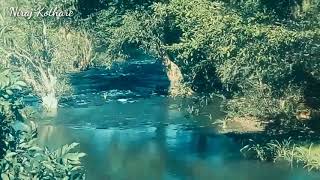 Beautiful Nature of Gadchiroli || Best place to visit || Beautiful Gadchiroli ||