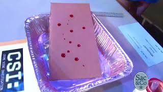 Science Summer Camps