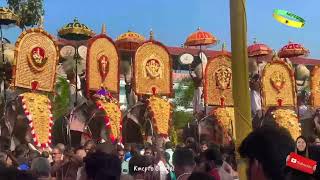 Varakkara pooram | വരാക്കര പൂരം | Varakkara pooram 2024