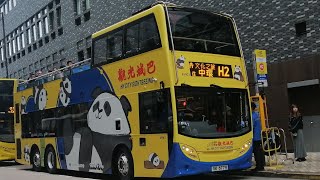 [熊貓廣告]HongKongBus(Citybus)Alexander Dennis Enviro500EV(Euro5)CityBus(49901 SK6779)@H1中環碼頭➡️半島酒店