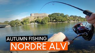 AUTUMN FISHING on Nordre älv river. Perch, pike, trout…?