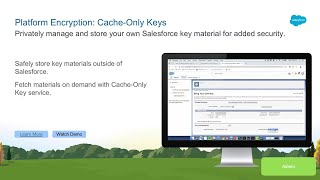 Platform Encryption: Cache Only Keys