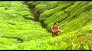 Margazhi Poove - May Madham | AR Rahman |   Evergreen   | 90's Kids