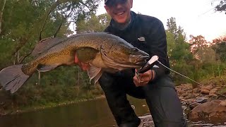 Murray Cod Fishing In An Ultra Clear River