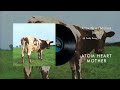 pink floyd atom heart mother suite official audio