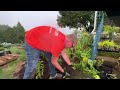 spading perfect new mulch beds for new mulch project