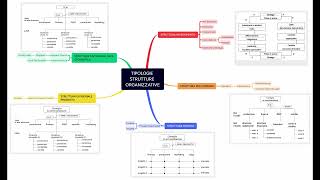 Organizzazione Aziendale #15 - Tipologia di Strutture Organizzative