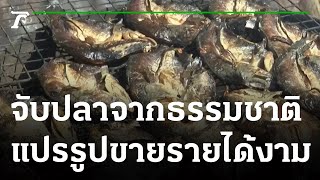 ชาวบ้านจับปลาแหล่งน้ำธรรมชาติแปรรูปขาย รายได้งาม | 24-12-64 | ตะลอนข่าว