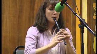 Caoinleach glas an fhómhair ; Larkin's beehives, reel / Róisín Nic Dhonnacha, tin whistle