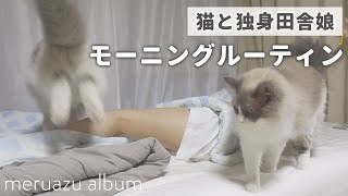 猫と田舎娘が実家で過ごす夏のモーニングルーティン