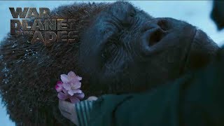 War for the Planet of the Apes | "We Are the Beginning and the End" TV Commercial | 20th Century FOX