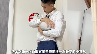 猫为什么更喜欢男生？猫咪已经开始跟女主人抢老公了！