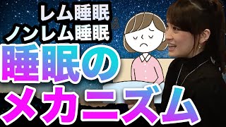 人生を損したくない！睡眠の質に左右するレム睡眠ノンレム睡眠についてわかりやすく解説！美容カイロプラクター山内菜緒先生