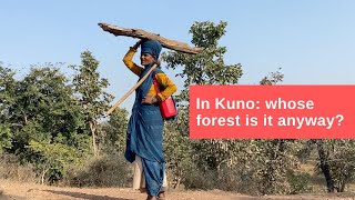 In Kuno: whose forest is it anyway?