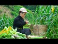 Dwarf Family Harvesting Corn Garden Goes to the market sell - Make Brooms Handmade - Family Care.