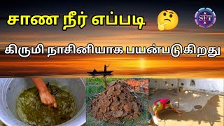 சாண நீர் எப்படி கிருமி நாசினியாக பயன்படுகிறது ? 🤔