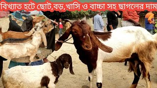 বিখ্যাত চুপাইর হাটে ছোট,বড়,মাঝারি খাসি ও বাচ্চা সহ মা ছাগলের দাম জানতে দেখুন/goat market 2023