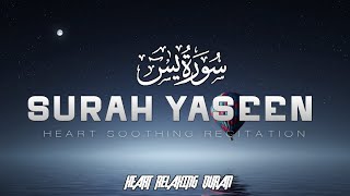 Surah Yasin (Yaseen)سورة يس|Relaxing heart touching voice|Quran Tilawat|Zakir E Quran|Epi 004