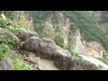 【百名山（日本三名山）】白山登山（一ノ瀬バス停から登山バスで別当出合へ）白山延命水（砂防新道から室堂）登山道と水場