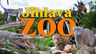 Jihlava Zoo - the \