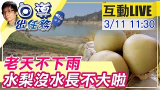 【白導出任務 互動LIVE】20210311老天不下雨 鯉魚潭水庫缺水 果農嘆\